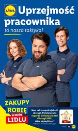 Lidl gazetka Strona 17