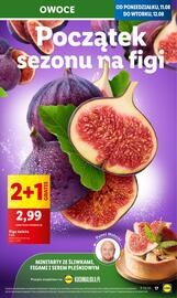 Lidl gazetka Strona 19