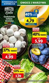 Lidl gazetka Strona 20