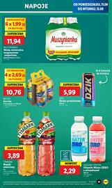 Lidl gazetka Strona 43