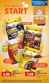 Lidl gazetka Strona 49