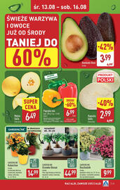 ALDI gazetka tydzień 33 Strona 29