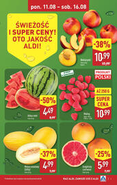 ALDI gazetka tydzień 33 Strona 3