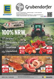 E-Center Prospekt woche 33 Seite 1