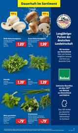 Lidl Prospekt woche 34 Seite 3