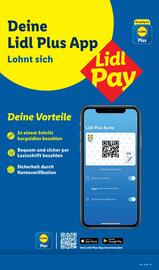 Lidl Prospekt woche 34 Seite 61