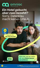 Lidl Prospekt woche 34 Seite 62