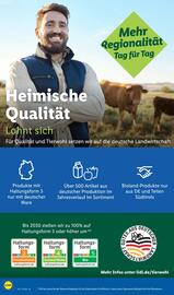 Lidl Prospekt woche 34 Seite 64
