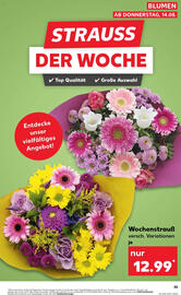 Kaufland Prospekt woche 33 Seite 55