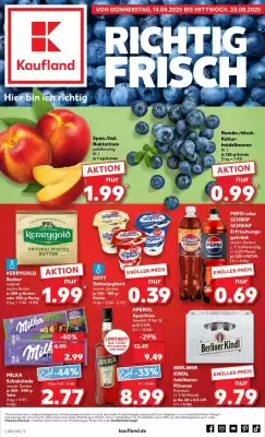 Kaufland Prospekt (gültig bis 20-08)