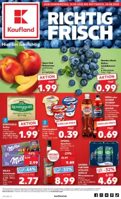 Kaufland Prospekt (gültig bis 20-08)