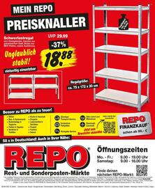 Repo Markt Prospekt woche 33 Seite 16