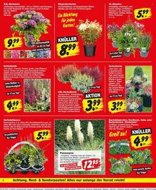 Repo Markt Prospekt woche 33 Seite 6