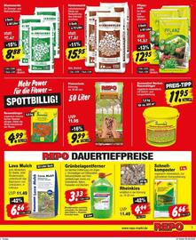 Repo Markt Prospekt woche 33 Seite 7