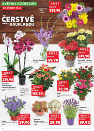 Kaufland leták týden 33 Strana 10