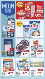 Famila Nord Ost Prospekt woche 33 Seite 11