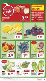 Famila Nord Ost Prospekt woche 33 Seite 5
