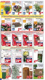 CENTERSHOP Prospekt woche 33 Seite 14