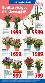 Lidl akciós újság Oldal 17