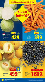Lidl akciós újság Oldal 42