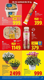 Lidl akciós újság Oldal 55