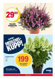 Coop Extra Kundeavis uke 33 Side 16