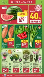 Aldi Nord Prospekt woche 34 Seite 26