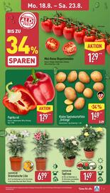 Aldi Nord Prospekt woche 34 Seite 3