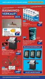 Aldi Nord Prospekt woche 34 Seite 35