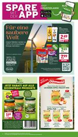 Wasgau Prospekt woche 33 Seite 24