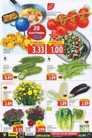 E-Center Prospekt woche 33 Seite 2