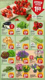 REWE Prospekt woche 33 Seite 7
