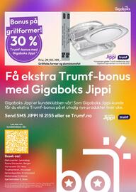 Gigaboks Kundeavis uke 33 Side 8