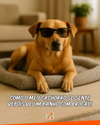 Catálogo Atacadão (válido até 31-08)
