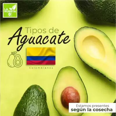 Catálogo Tiendas D1 (válido hasta 11-08)