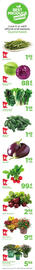 Cub Foods Weekly Ad week 33 Page 3