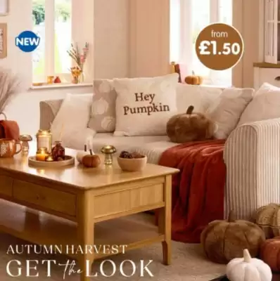 B&M Stores leaflet (valid until 16-09)