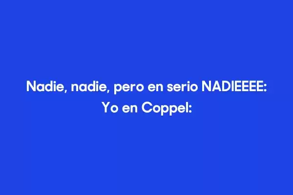 Catálogo Coppel (válido hasta 11-08)
