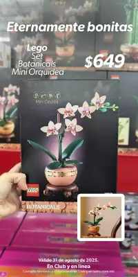 Catálogo Sam's Club (válido hasta 31-08)