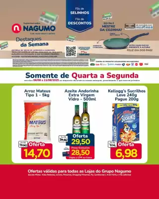 Catálogo Nagumo