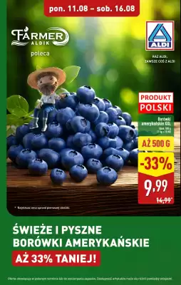 ALDI gazetka (ważność do 16-08)