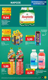 Lidl gazetka Strona 43