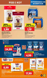 Lidl gazetka Strona 61