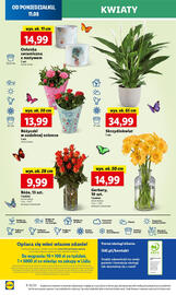Lidl gazetka Strona 62