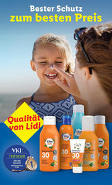 Lidl Flugblatt woche 33 Seite 3