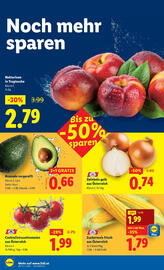 Lidl Flugblatt woche 33 Seite 4