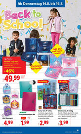 Lidl Flugblatt woche 33 Seite 17
