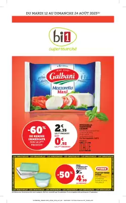 Catalogue Bi1