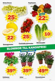 Pekås reklamblad vecka 33 Sida 7