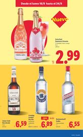 Folleto Lidl semana 34 Página 15